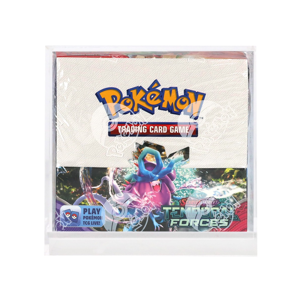 Thumbnail 7