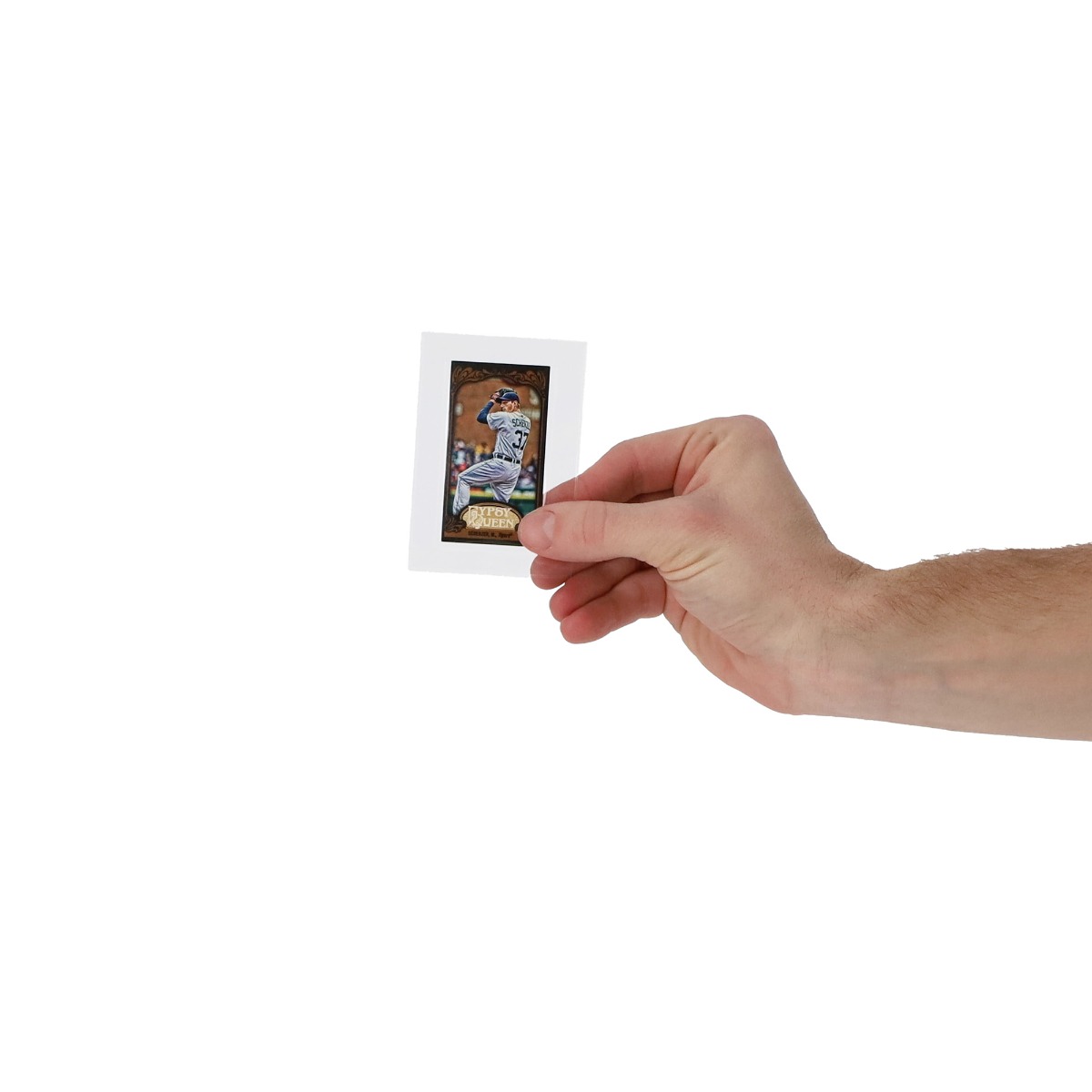 Thumbnail 8